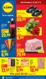 Lidl katalog | 4. 6. - 7. 6. 2026 | 2026-06-04T00:00:00.000Z - 2026-06-07T00:00:00.000Z