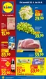 Lidl katalog v Odry | 22. 6. - 24. 6. 2026 | 2026-06-22T00:00:00.000Z - 2026-06-28T00:00:00.000Z