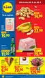 Lidl katalog v Odry | 25. 6. - 28. 6. 2026 | 2026-06-25T00:00:00.000Z - 2026-06-28T00:00:00.000Z