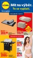 Lidl katalog v Mladá Boleslav | 20. 7. - 26. 7. 2026 | 2026-07-20T00:00:00.000Z - 2026-07-26T00:00:00.000Z