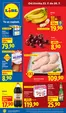 Lidl katalog v Mladá Boleslav | 23. 7. - 26. 7. 2026 | 2026-07-23T00:00:00.000Z - 2026-07-26T00:00:00.000Z