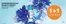 Yves Rocher katalog | Yves Rocher Offer | 2026-07-22T00:00:00.000Z - 2026-08-25T00:00:00.000Z