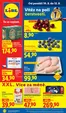 Lidl katalog | 10. 8. - 12. 8. 2026 | 2026-08-10T00:00:00.000Z - 2026-08-16T00:00:00.000Z