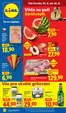 Lidl katalog | 13. 8. - 16. 8. 2026 | 2026-08-13T00:00:00.000Z - 2026-08-16T00:00:00.000Z