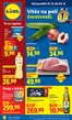 Lidl katalog v Mělník | 21. 9. - 23. 9. 2026 | 2026-09-21T00:00:00.000Z - 2026-09-27T00:00:00.000Z
