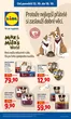 Lidl katalog | Vše pro Tvého spokojeného mazlíčka | 2026-10-12T00:00:00.000Z - 2026-10-18T00:00:00.000Z