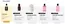 Lush katalog | Nové produkty | 2026-10-23T00:00:00.000Z - 2026-11-05T00:00:00.000Z