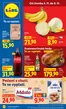 Lidl katalog v Lovosice | 5. 11. - 8. 11. 2026 | 2026-11-05T00:00:00.000Z - 2026-11-08T00:00:00.000Z