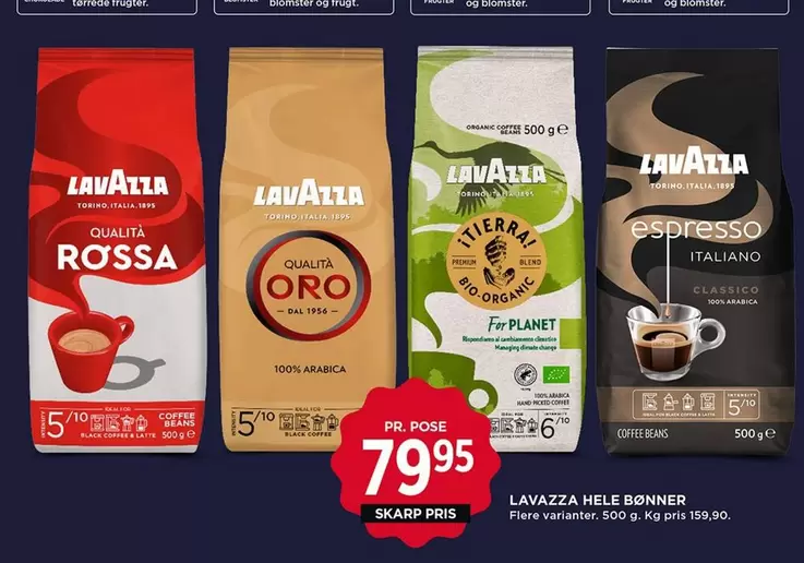Bio - HELE DONNER