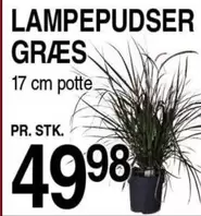 LAMPEPUDSER GRÆS
