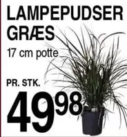 LAMPEPUDSER GRÆS