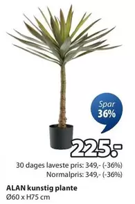 Kunstig Plante