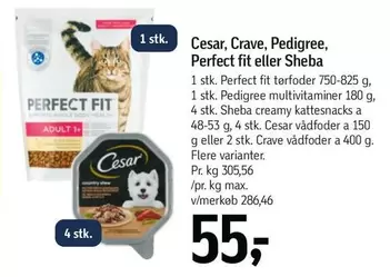Perfect fit eller Sheba