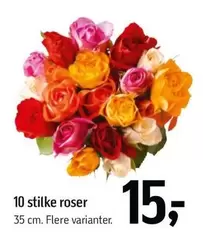 Roser - 10 stilke roser