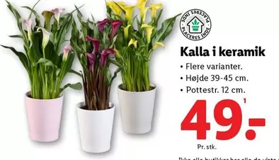 Keramik - Kalla i keramik