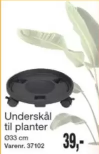 Underskål til planter