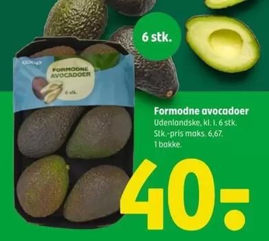 Formodne avocadoer