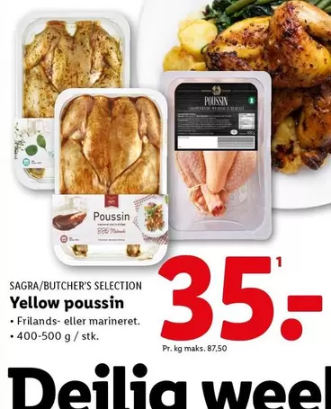 Yellow poussin