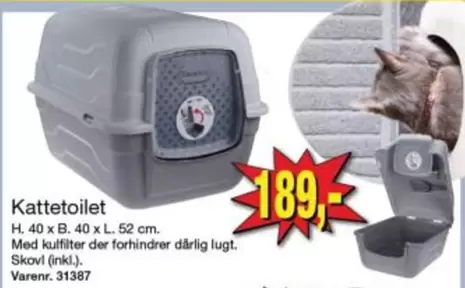 Kattetoilet
