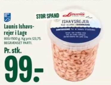 Ishavsrejer i Lage