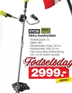 Ryobi - Akku-buskrydder