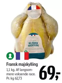 Fransk majskylling