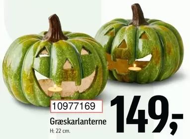 Græskarlanterne
