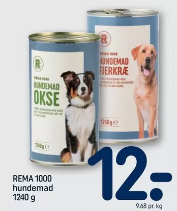 Hundemad