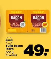 Bacon I Tern