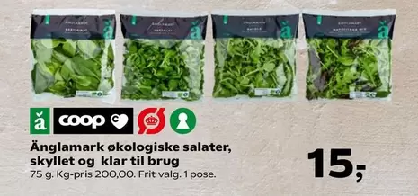 økolologiske salater