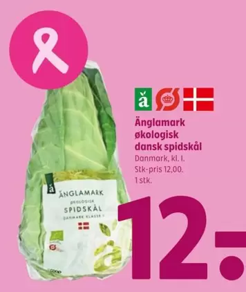 økologisk dansk spidskål