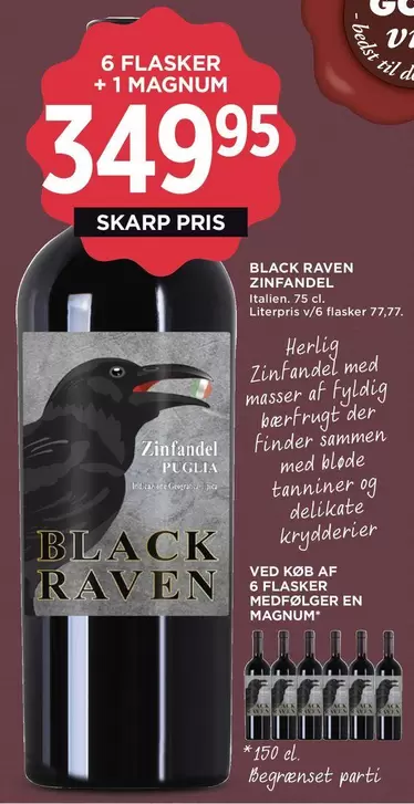 Zinfandel - ZINFANDEL