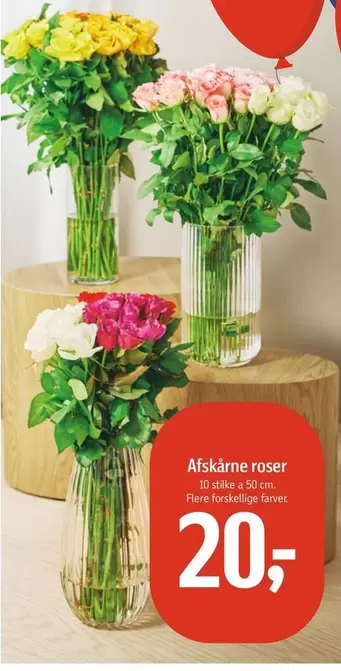 Roser - Afskårne roser