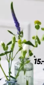 Blomster