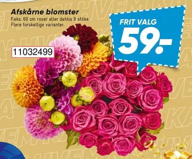 Roser - Afskårne blomster