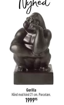 Gorilla