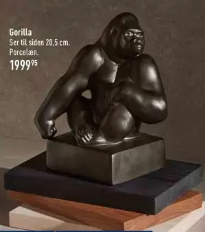 Gorilla
