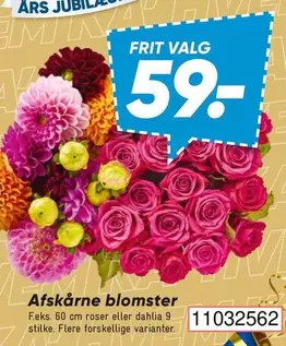 Roser - Afskårne blomster