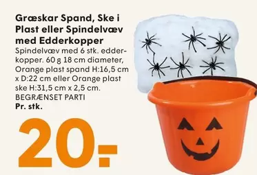 Orange - Græskar Spand, Ske i Plast eller Spindelvæv med Edderkopper