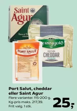 Port Salut, cheddar eller Saint Agur