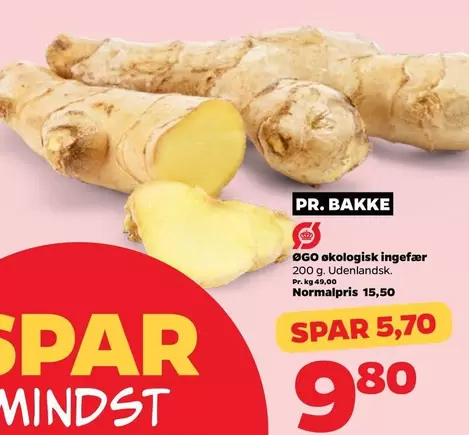 OGO ekologisk ingefær
