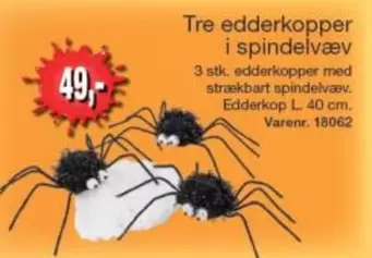 Tre edderkopper i spindelvæv