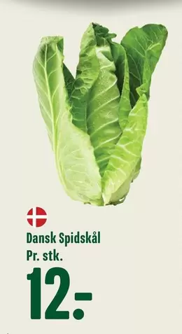 Dansk Spidskål
