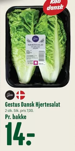 Dansk Hjertesalat
