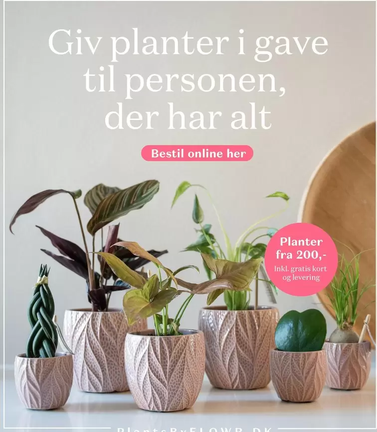 Kort - Planter