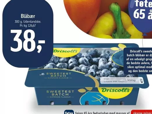 Den - Blåbær