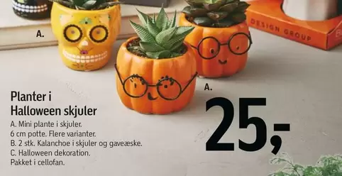 Planter i Halloween skjuler