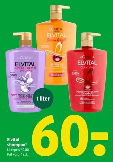 Shampoo