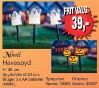 Havespyd