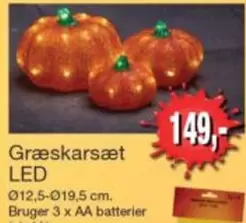 Græskarsæt LED